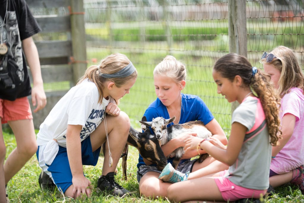 group of children playing with pygmy goat