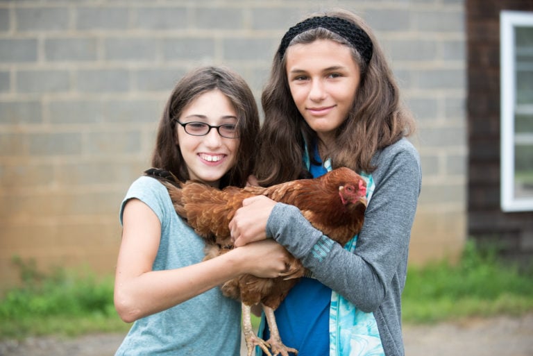 older girls holding chicken