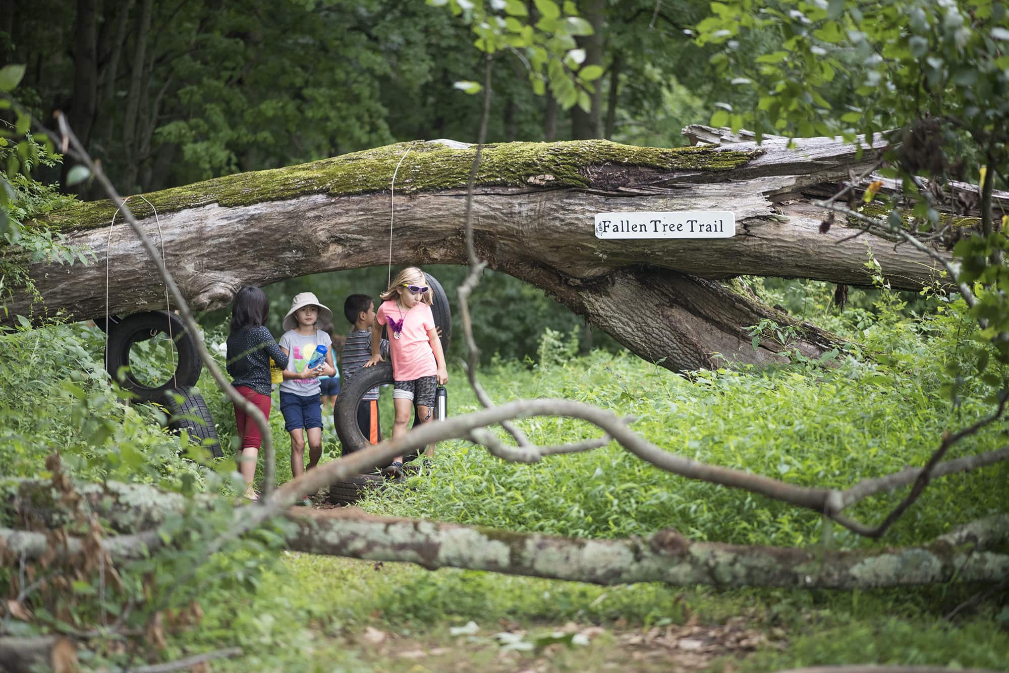 kids hanging out by brook in the woods