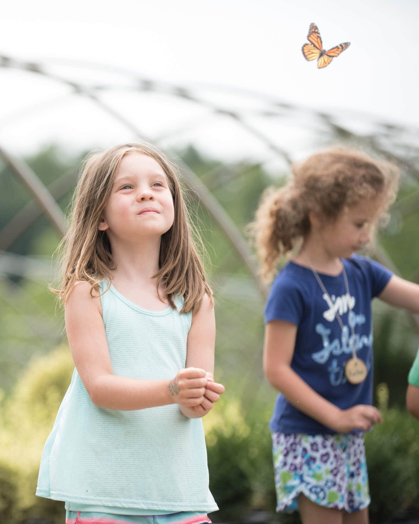 girl watching butterfly