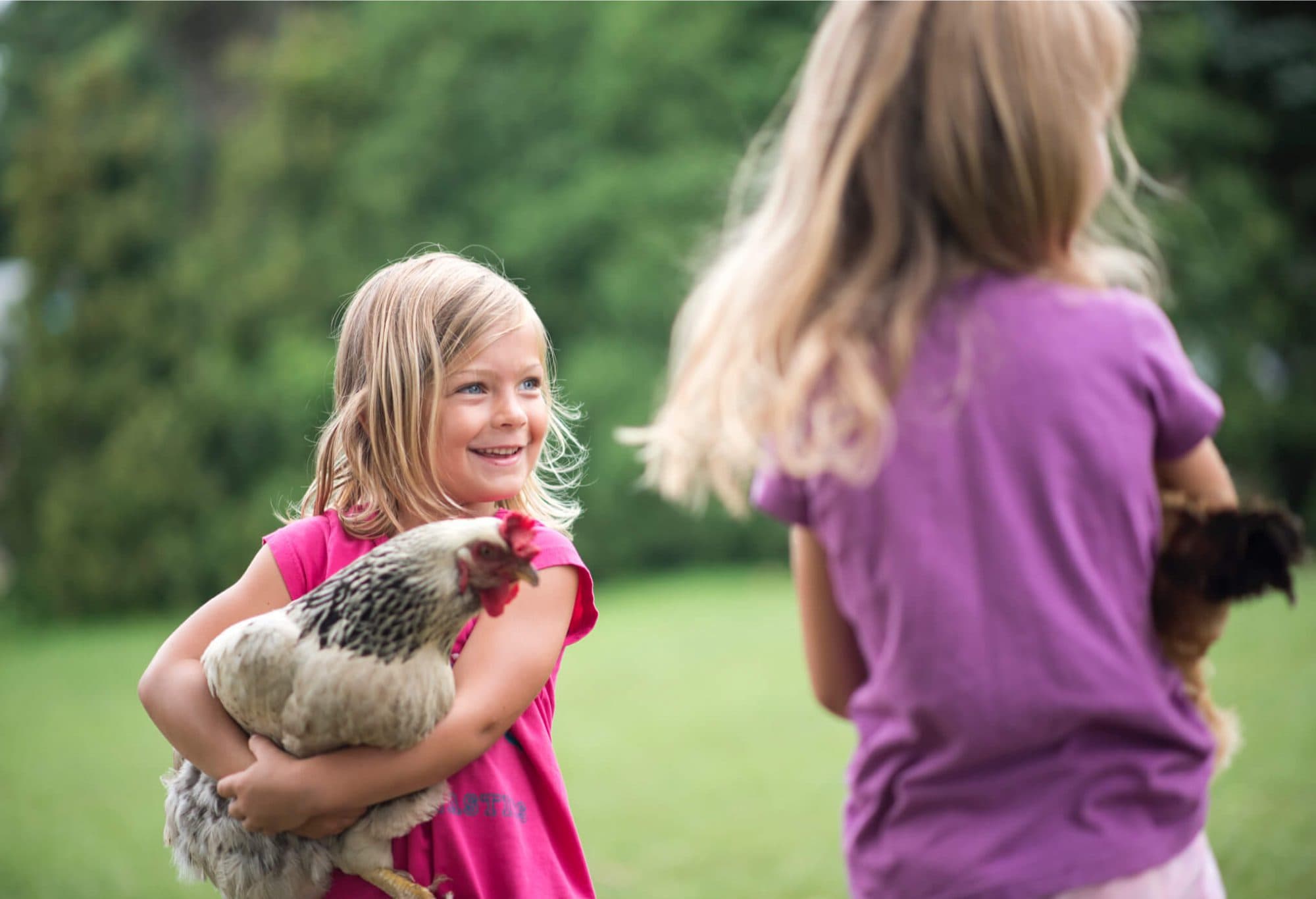 Smiling toddler holding chicken.