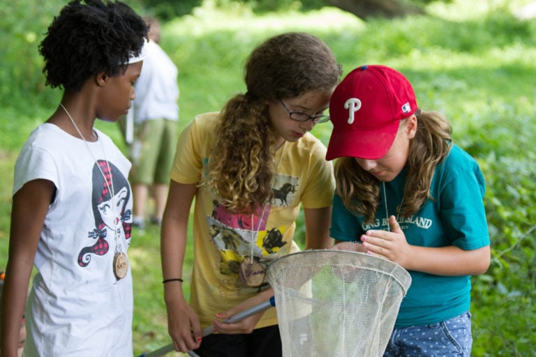 group of kids looking at insect