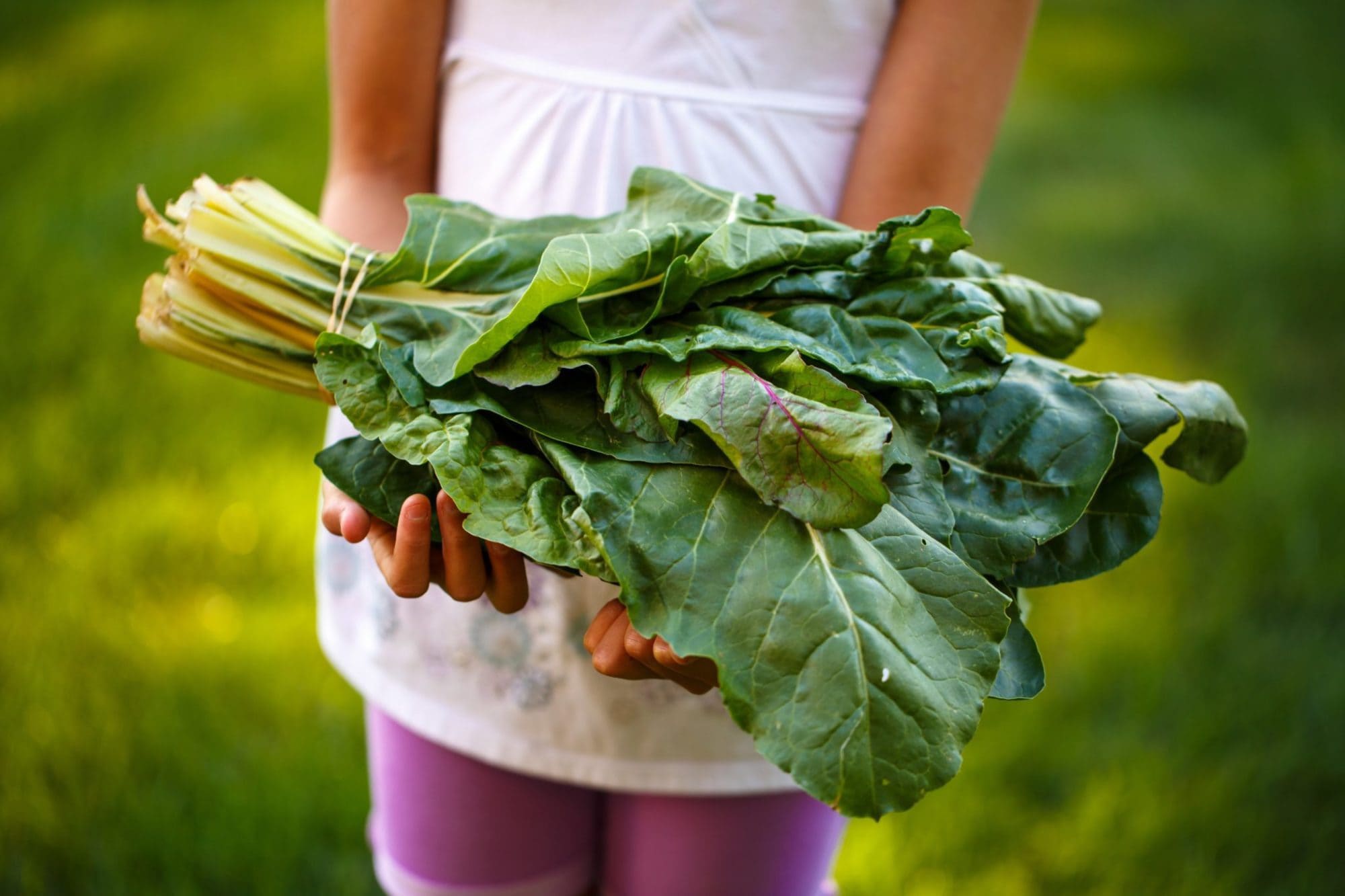 child holding big bunch of leafy greens