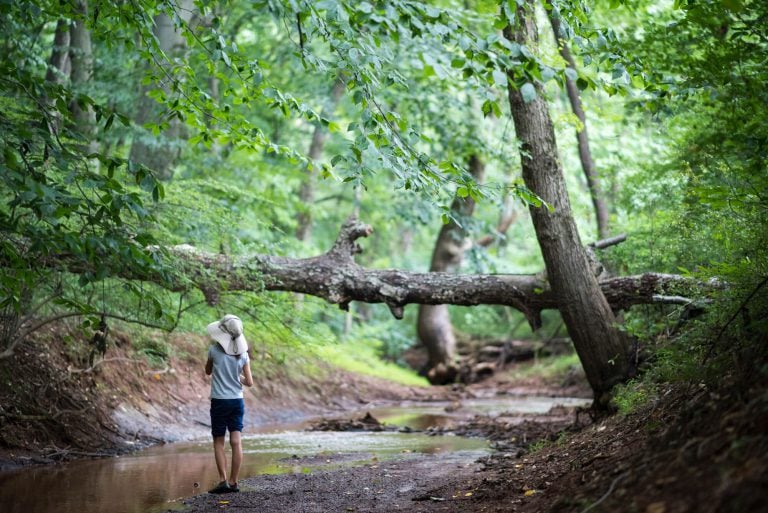 kid standing next to a brook in the woods