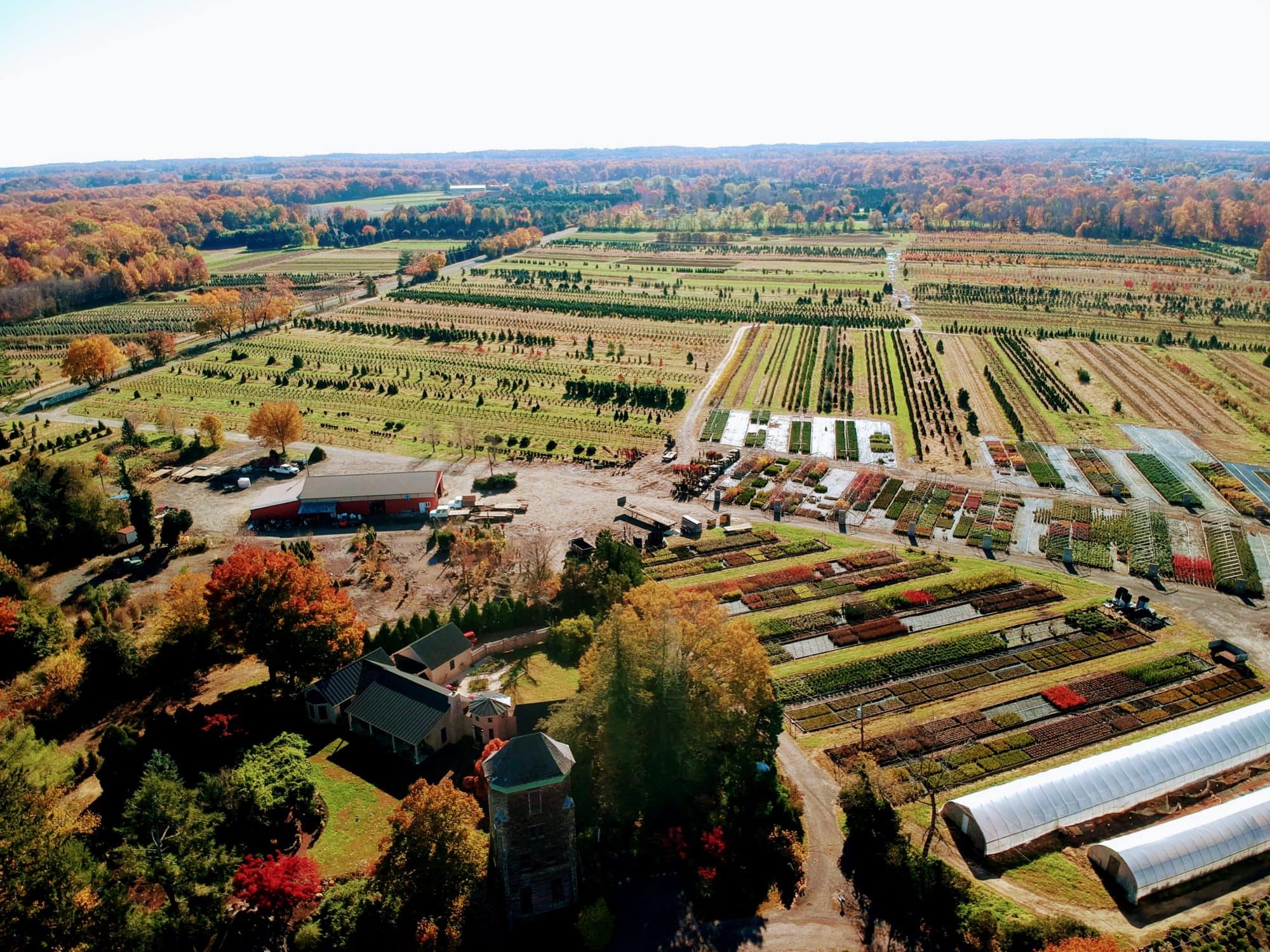 About the Nursery Fernbrook Farms
